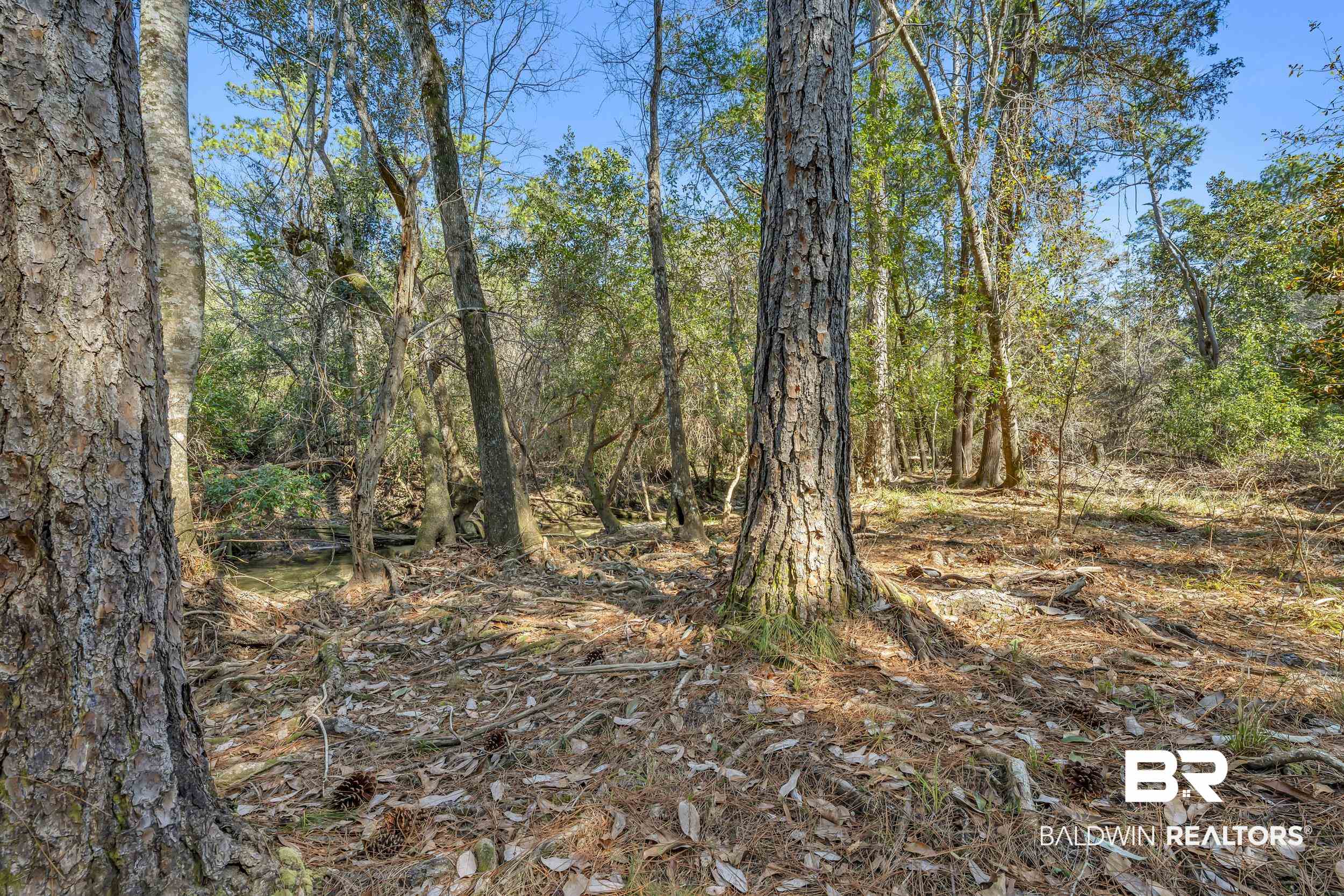 22929 Highway 98 Foley, AL 36535 - Photo 47 of 54 View of wooded area