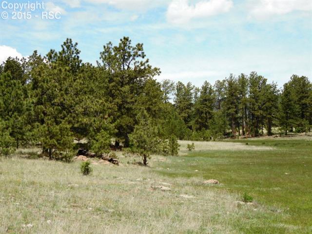 1170 Doe Valley Road Guffey, CO 80820 - Photo 11 of 14 That’s the sub-irrigated area to the right