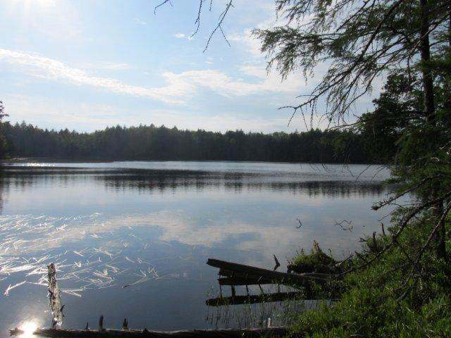 Near East Cisco Lake Road Watersmeet, MI 49969 - Photo 4 of 6 Gallery Image 4