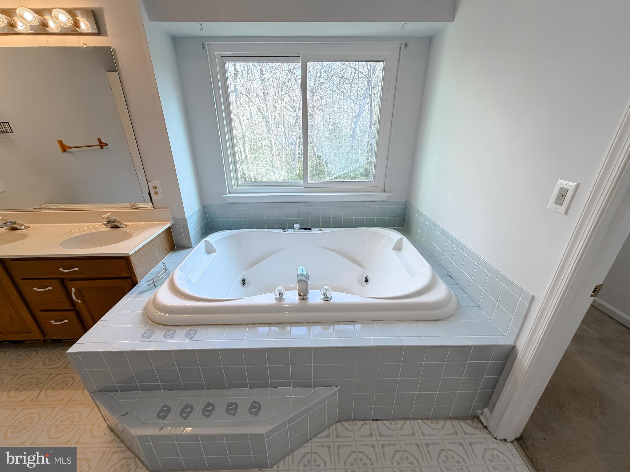 12468 Ridge Road Lusby, MD 20657 - Photo 41 of 65 Jetted tub view of woods
