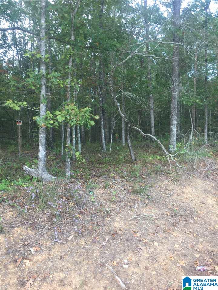 241 Sulphur Springs Road, Unit 9 89 ACRES Lincoln, AL 35096 - Photo 44 of 44
