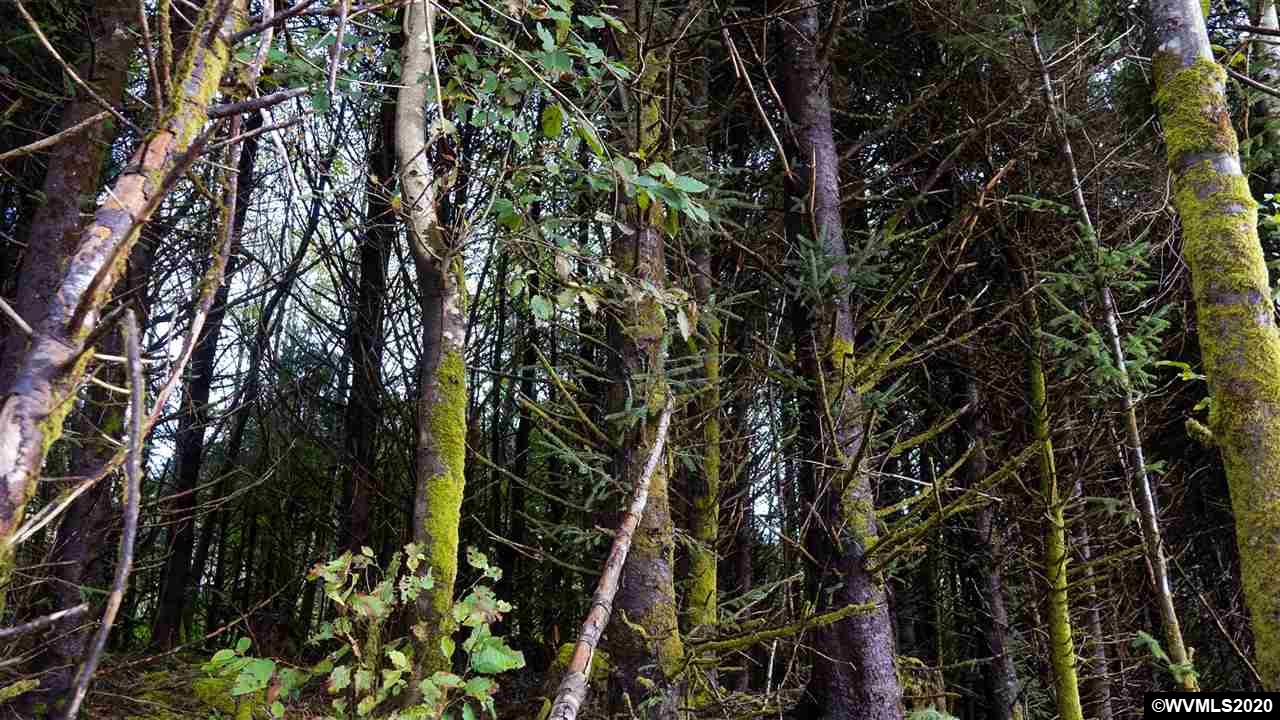 Old Netarts ( Tillamook, OR 97141 - Photo 10 of 16
