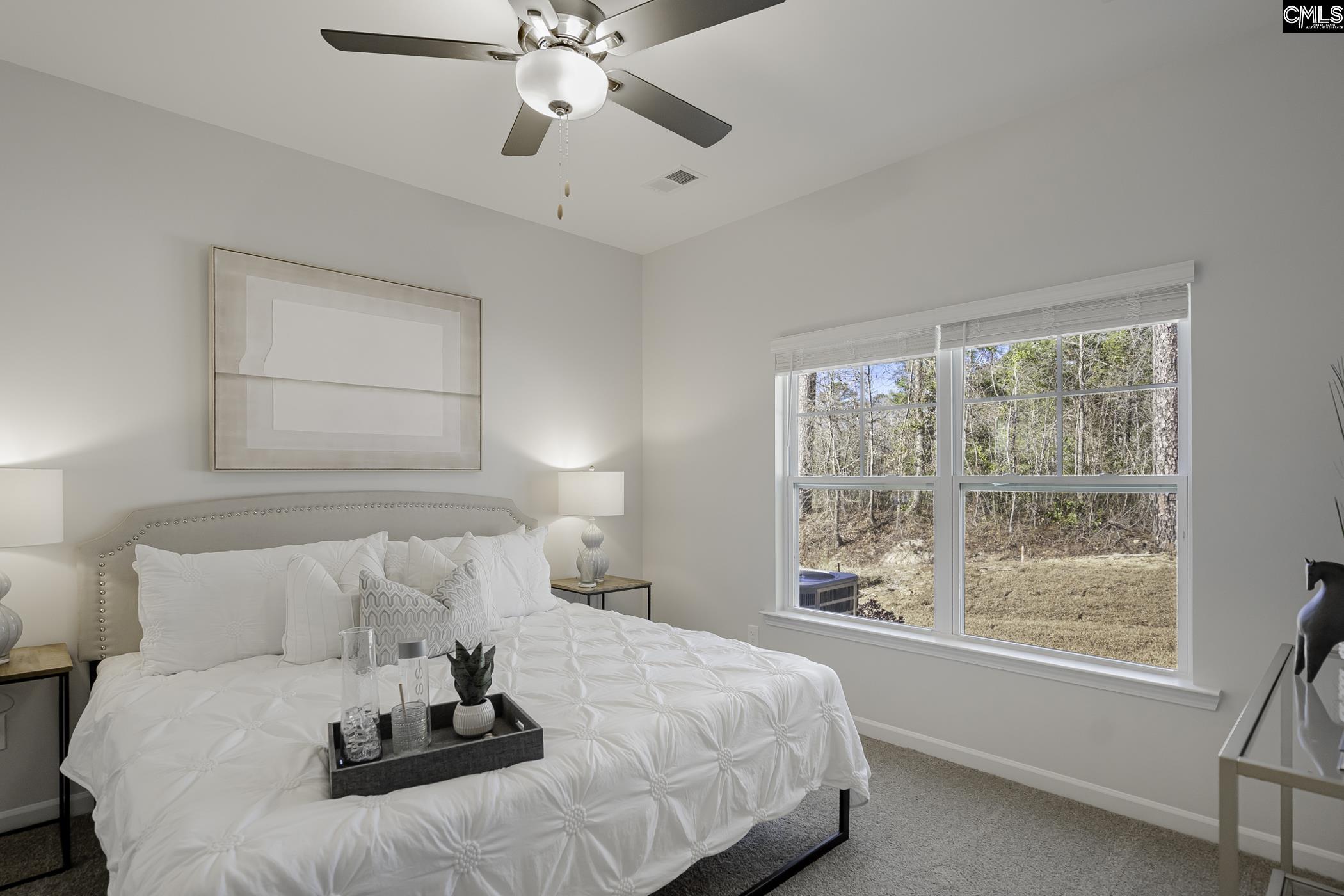 282 Brando Way Columbia, SC 29223 - Photo 25 of 31