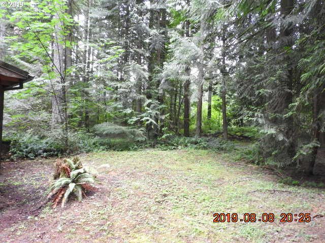 69120 East Vine Maple Drive Rhododendron, OR 97049 - Photo 3 of 15 Gallery Image 3