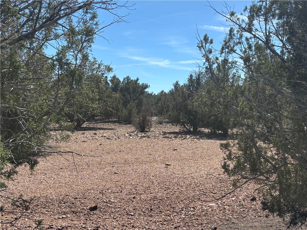 352-38-012 352-38-012 Badger Ridge Road Kingman, AZ 86401 - Photo 5 of 31
