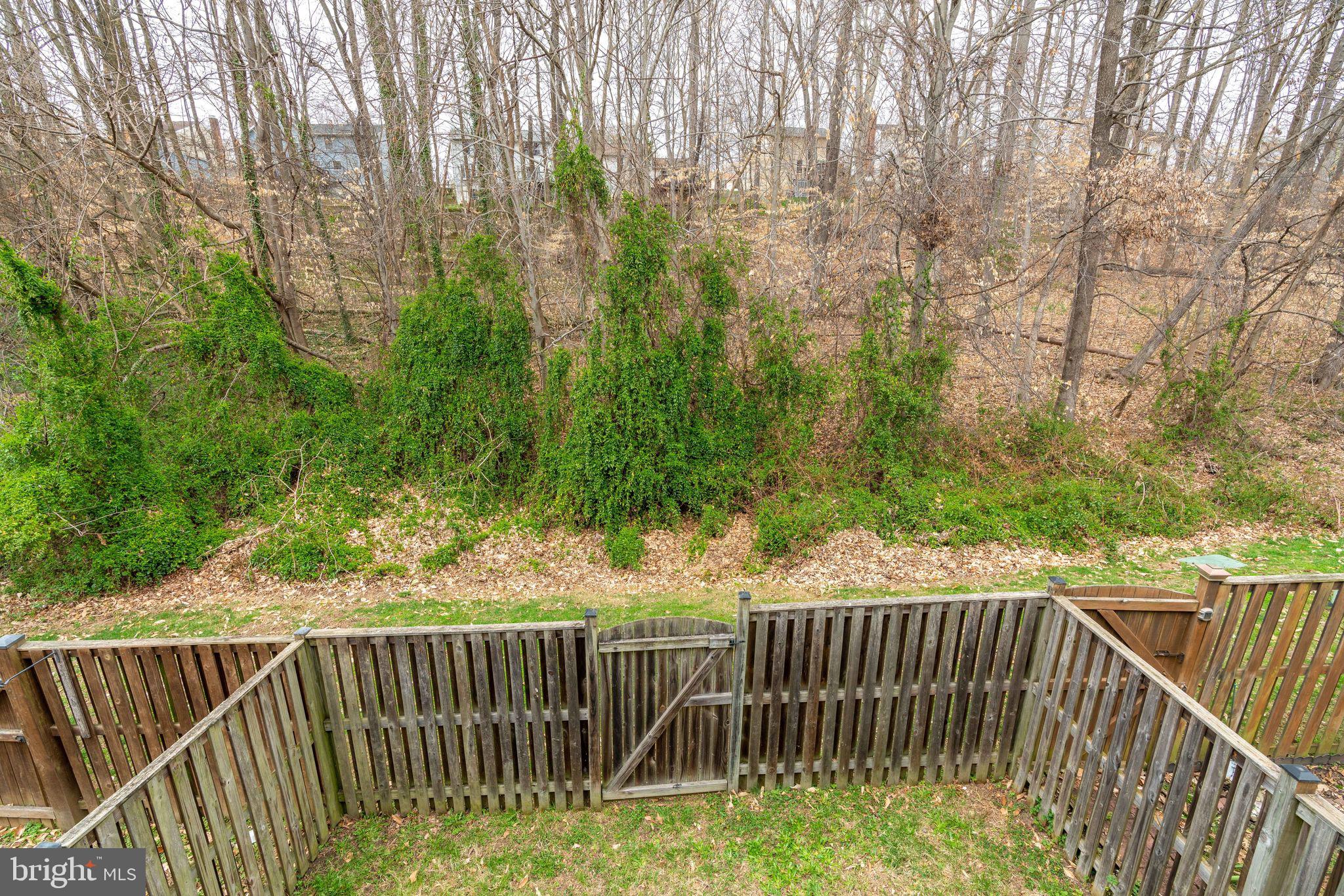 7548 Aspenpark Road Lorton, VA 22079 - Photo 9 of 20 Tree view from the master bedroom