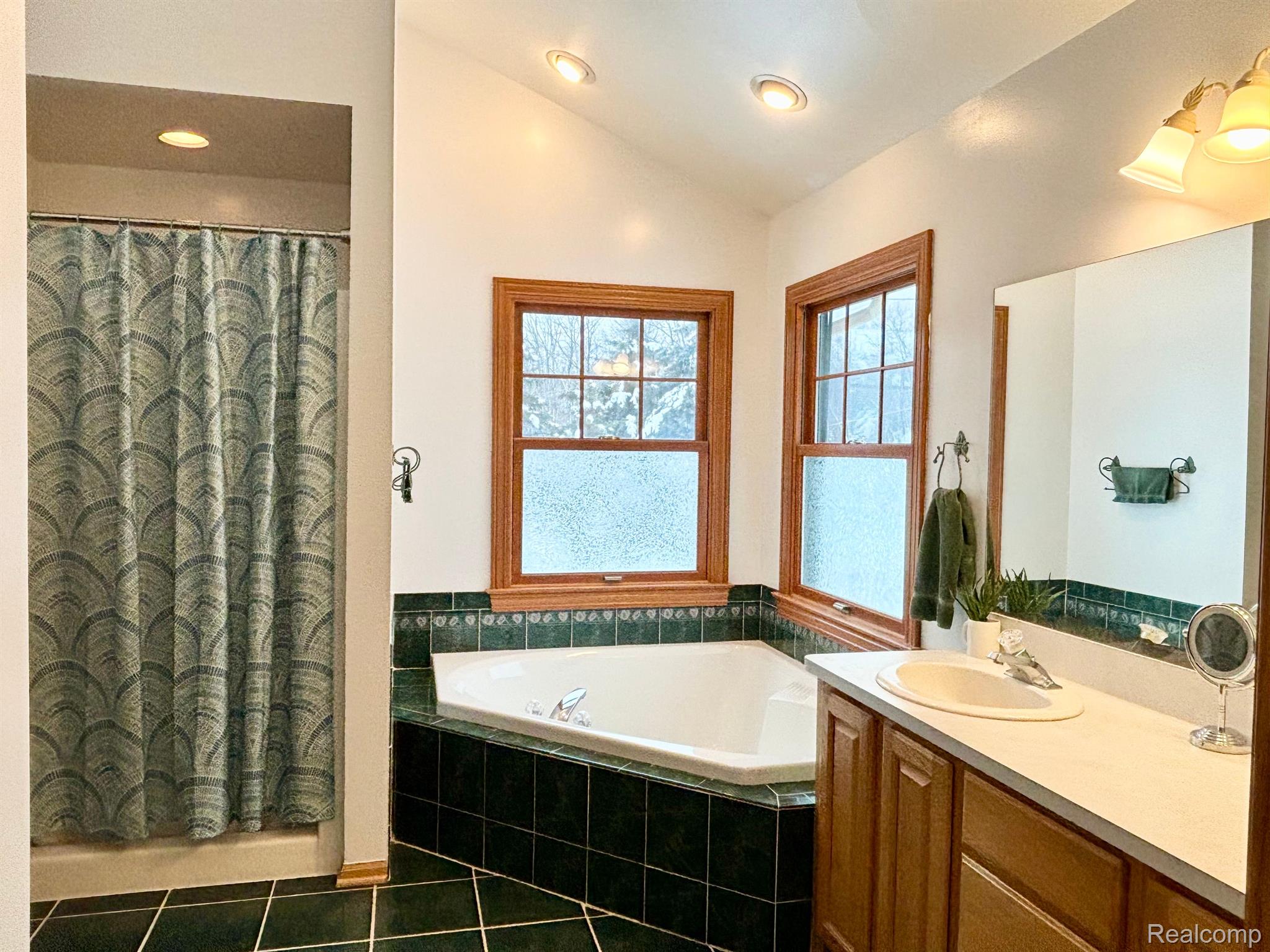 11063 Clyde Road Fenton, MI 48430 - Photo 35 of 52 Primary Bath