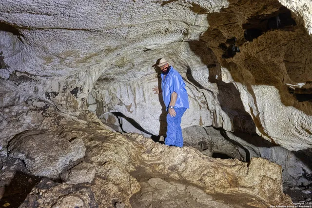 a view of a dry yard