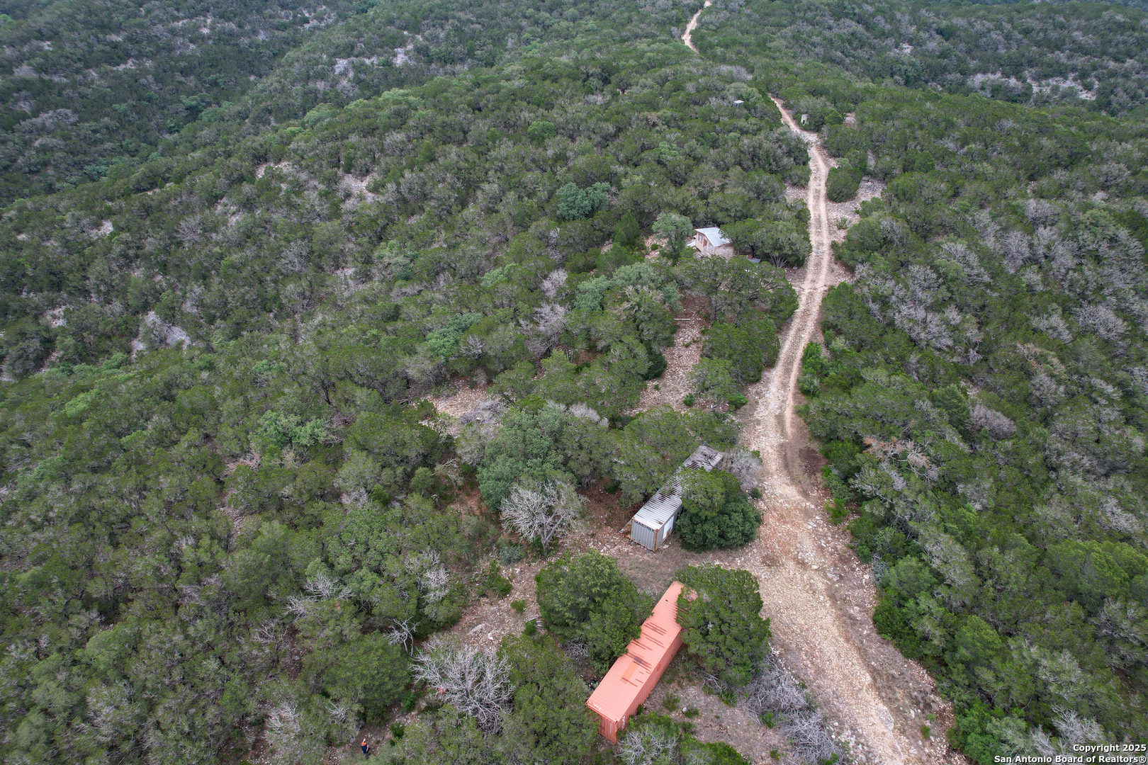 824 South Pinon Loop Camp Wood, TX 78833 - Photo 14 of 39 a view of a forest with a tree