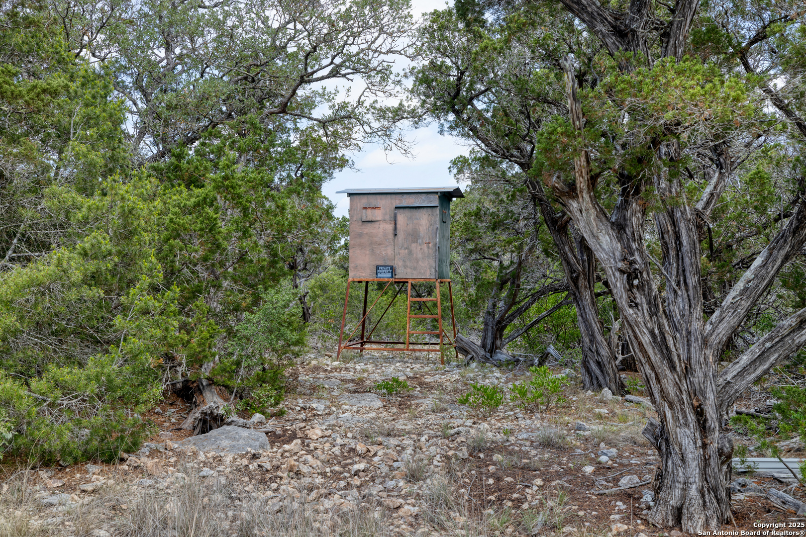 824 South Pinon Loop Camp Wood, TX 78833 - Photo 22 of 39 a view of a tree in front of a house