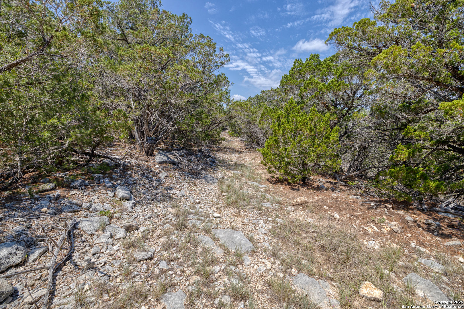 824 South Pinon Loop Camp Wood, TX 78833 - Photo 24 of 39 a view of a yard with plants and trees
