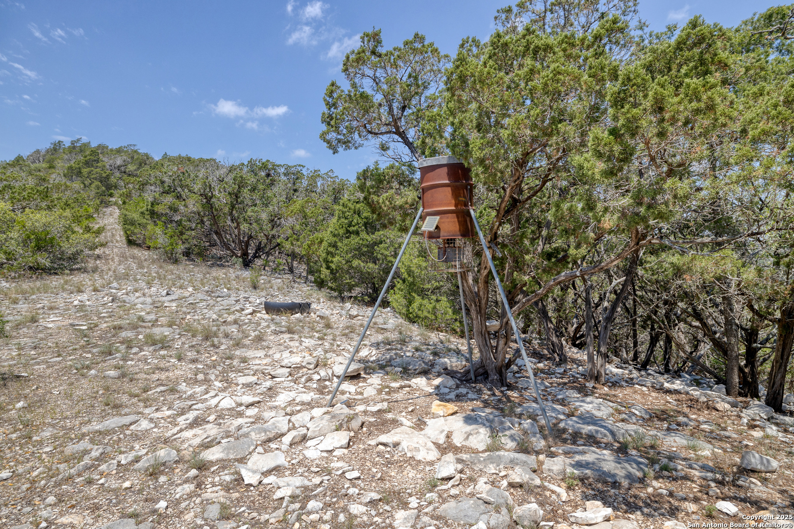 824 South Pinon Loop Camp Wood, TX 78833 - Photo 26 of 39 a picture of trees