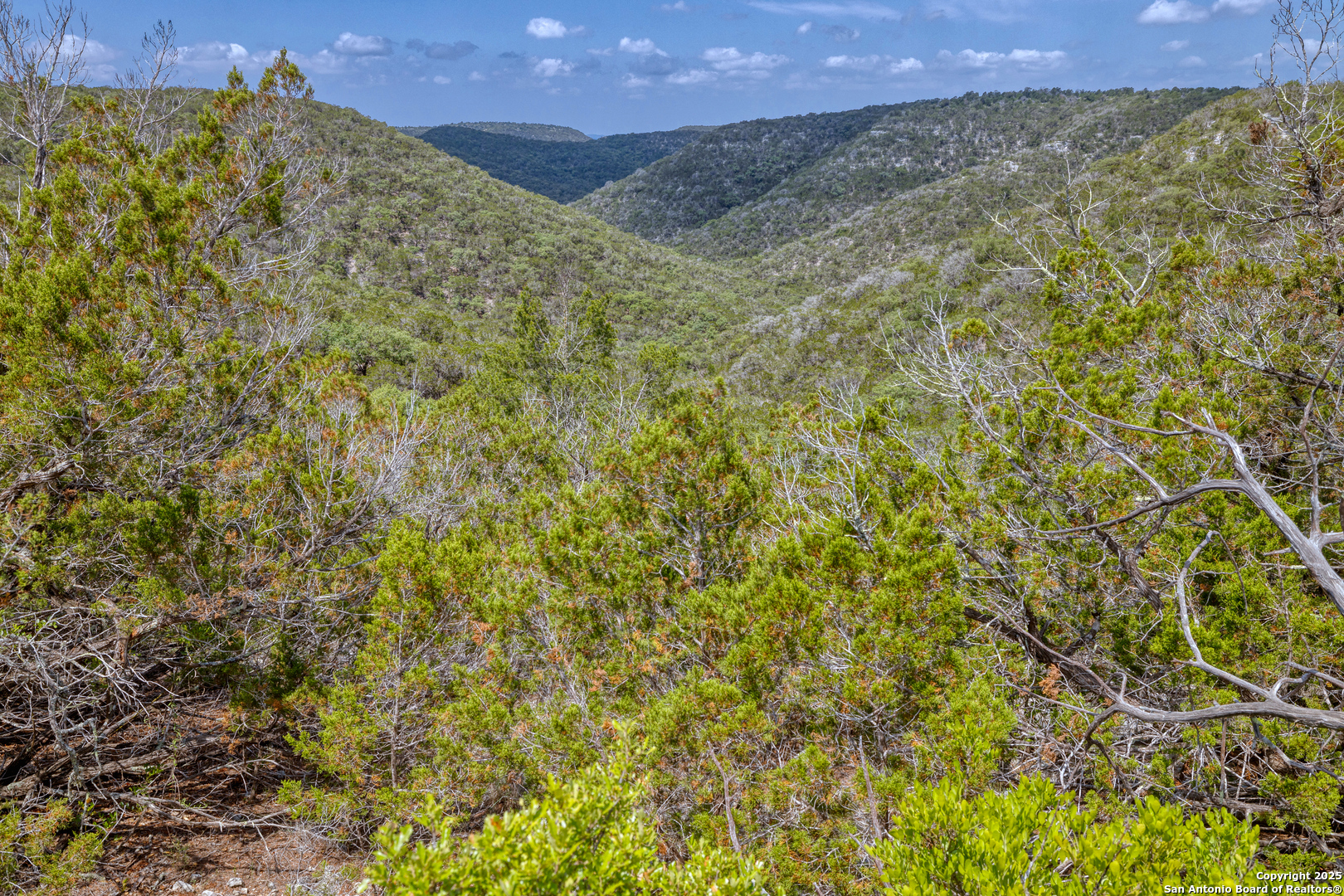 824 South Pinon Loop Camp Wood, TX 78833 - Photo 29 of 39 a view of a yard