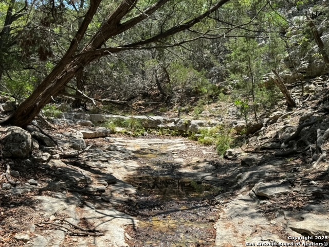 824 South Pinon Loop Camp Wood, TX 78833 - Photo 39 of 39 a view of outdoor space