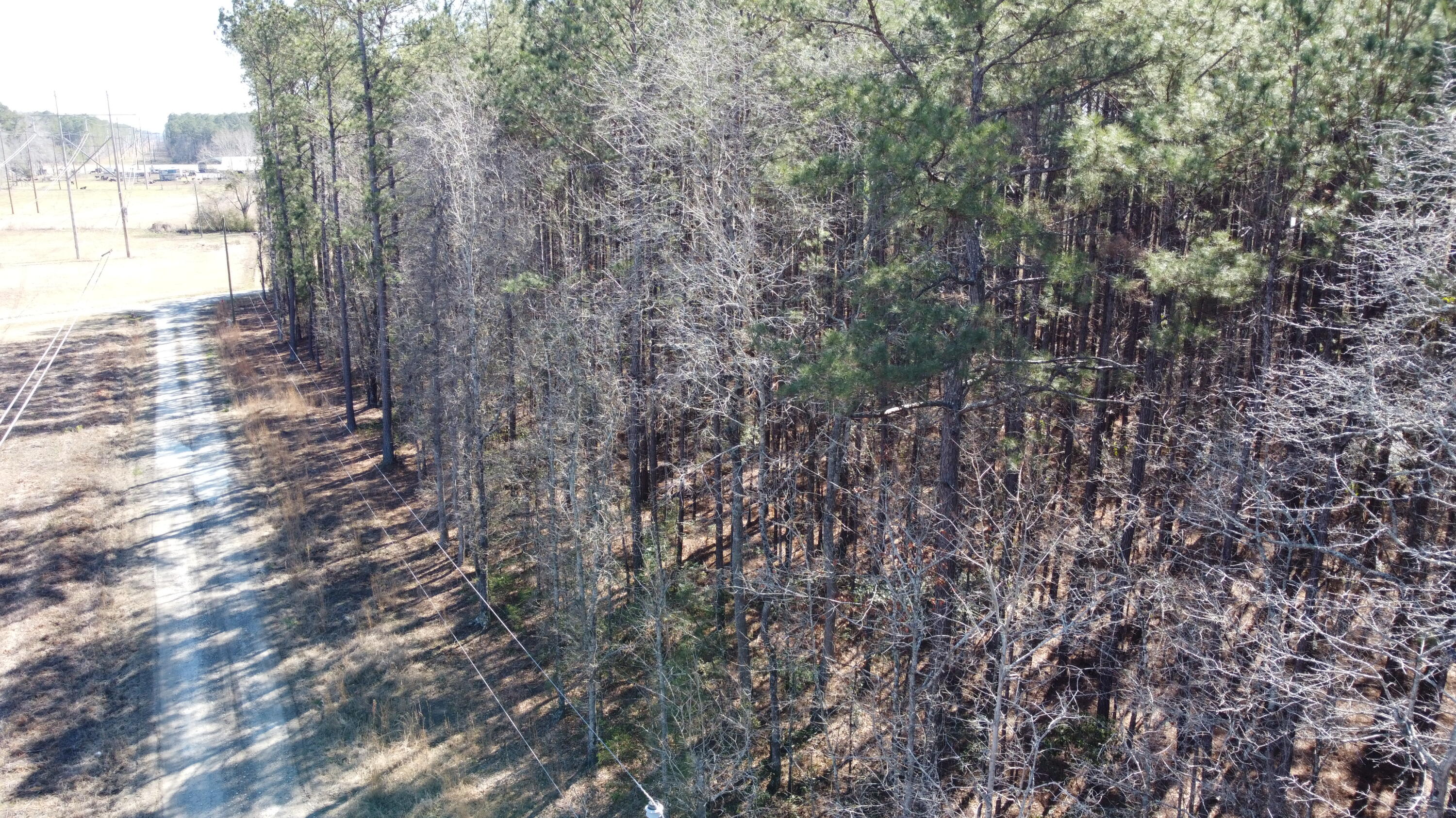 0 Mail Rte Road Bonneau, SC 29431 - Photo 2 of 7 DJI_0029