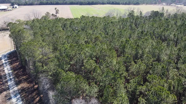 $120,000 | 0 Mail Rte Road, Bonneau, SC 29431