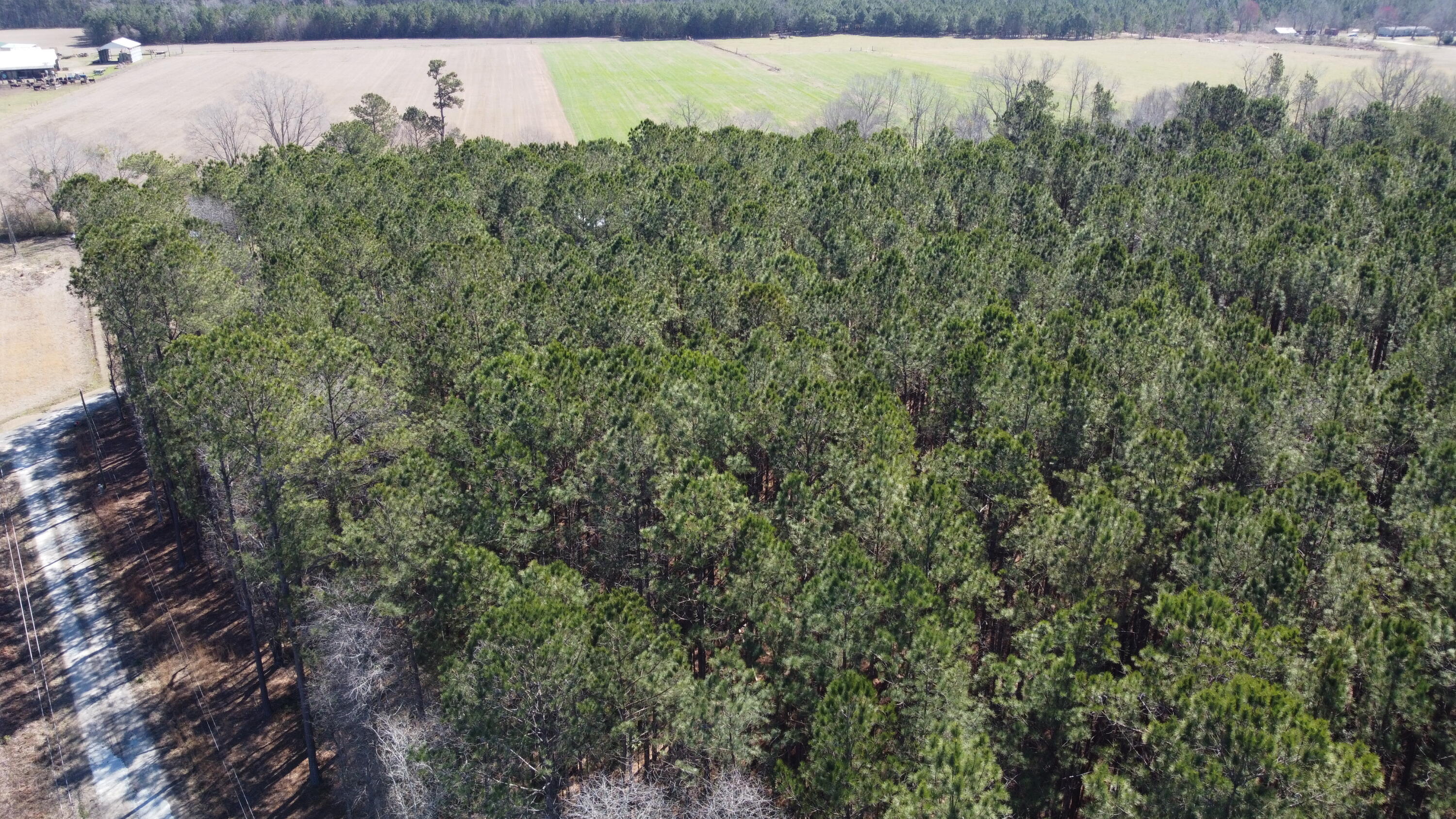 0 Mail Rte Road Bonneau, SC 29431 - Photo 3 of 7 DJI_0030