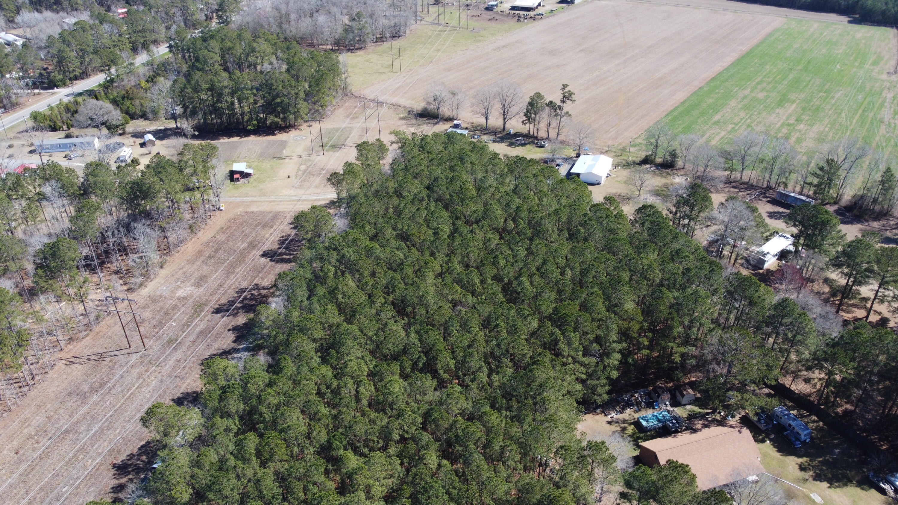 0 Mail Rte Road Bonneau, SC 29431 - Photo 7 of 7 DJI_0035