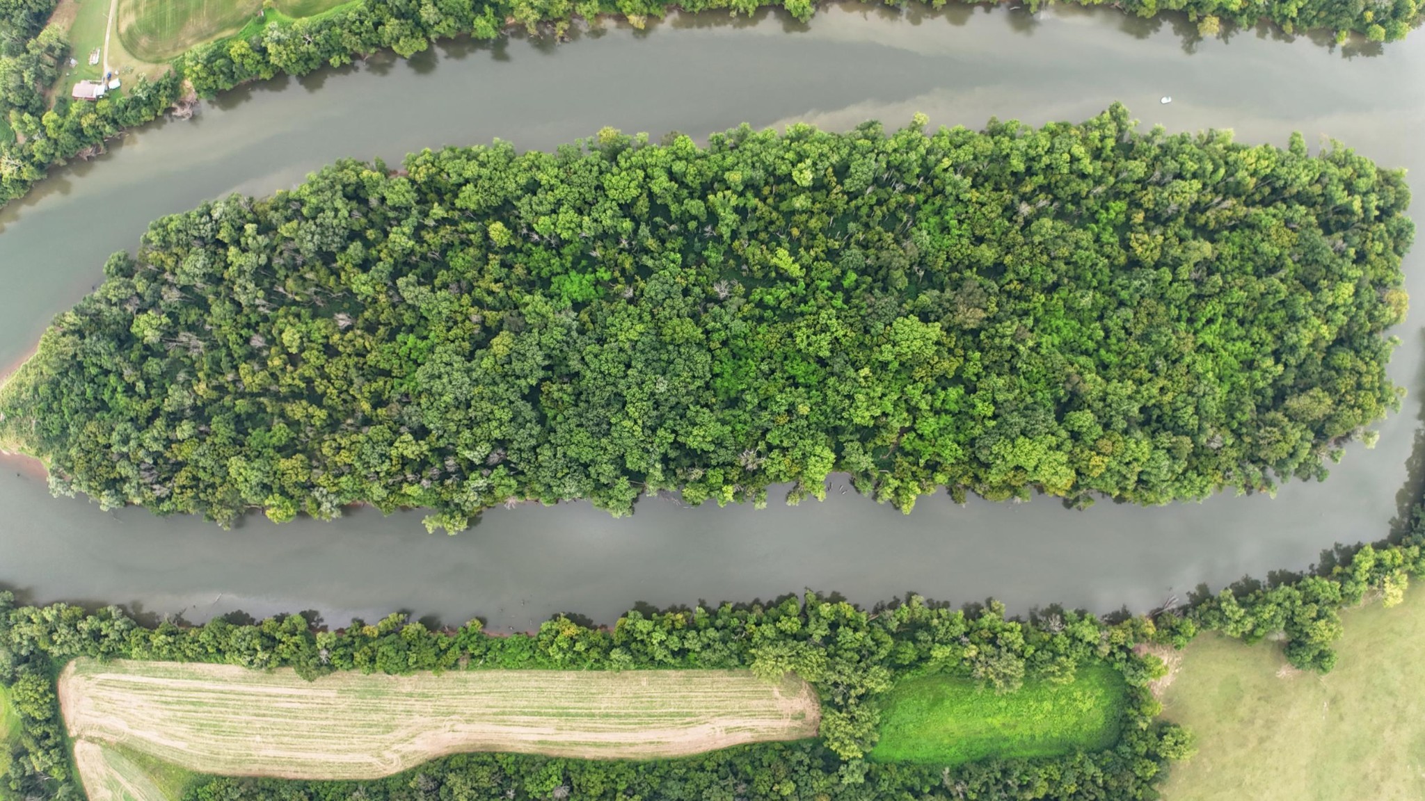 0 Lovells Island Riddleton, TN 37151 - Photo 9 of 15 an outdoor space with lots of green space
