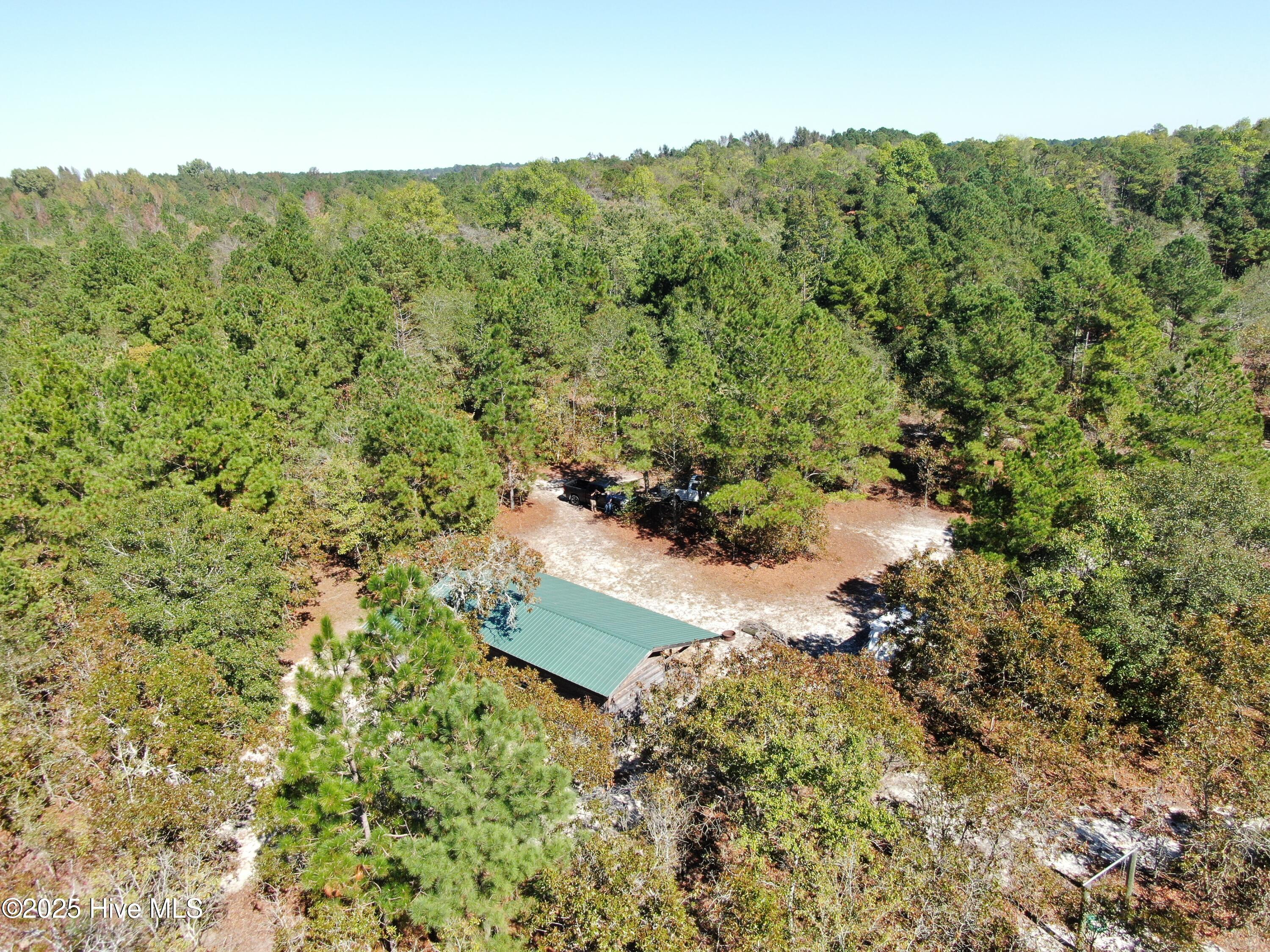 Off Hayne Stretch Road Autryville, NC 28318 - Photo 6 of 38 DNEA3785