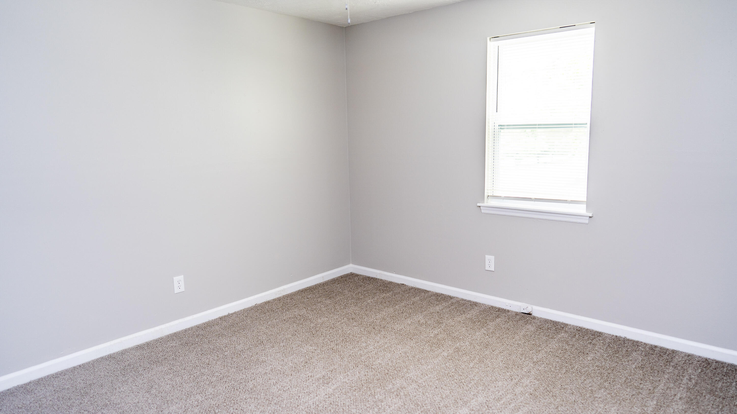 2154 Peppermint Place Augusta, GA 30906 - Photo 34 of 52 43-DSC00944