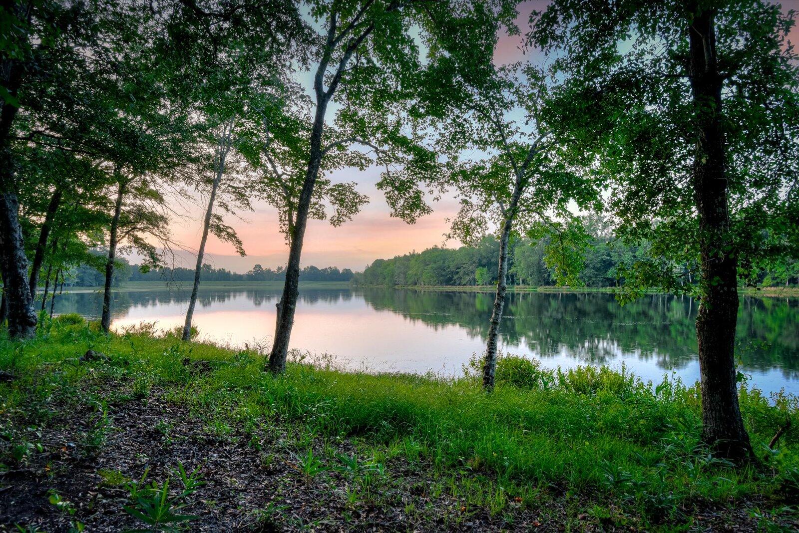 179 Rabbit Trail Edgefield, SC 29824 - Photo 6 of 50