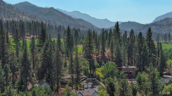 a view of a city with lush green forest