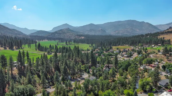 a view of a lush green hillside and houses