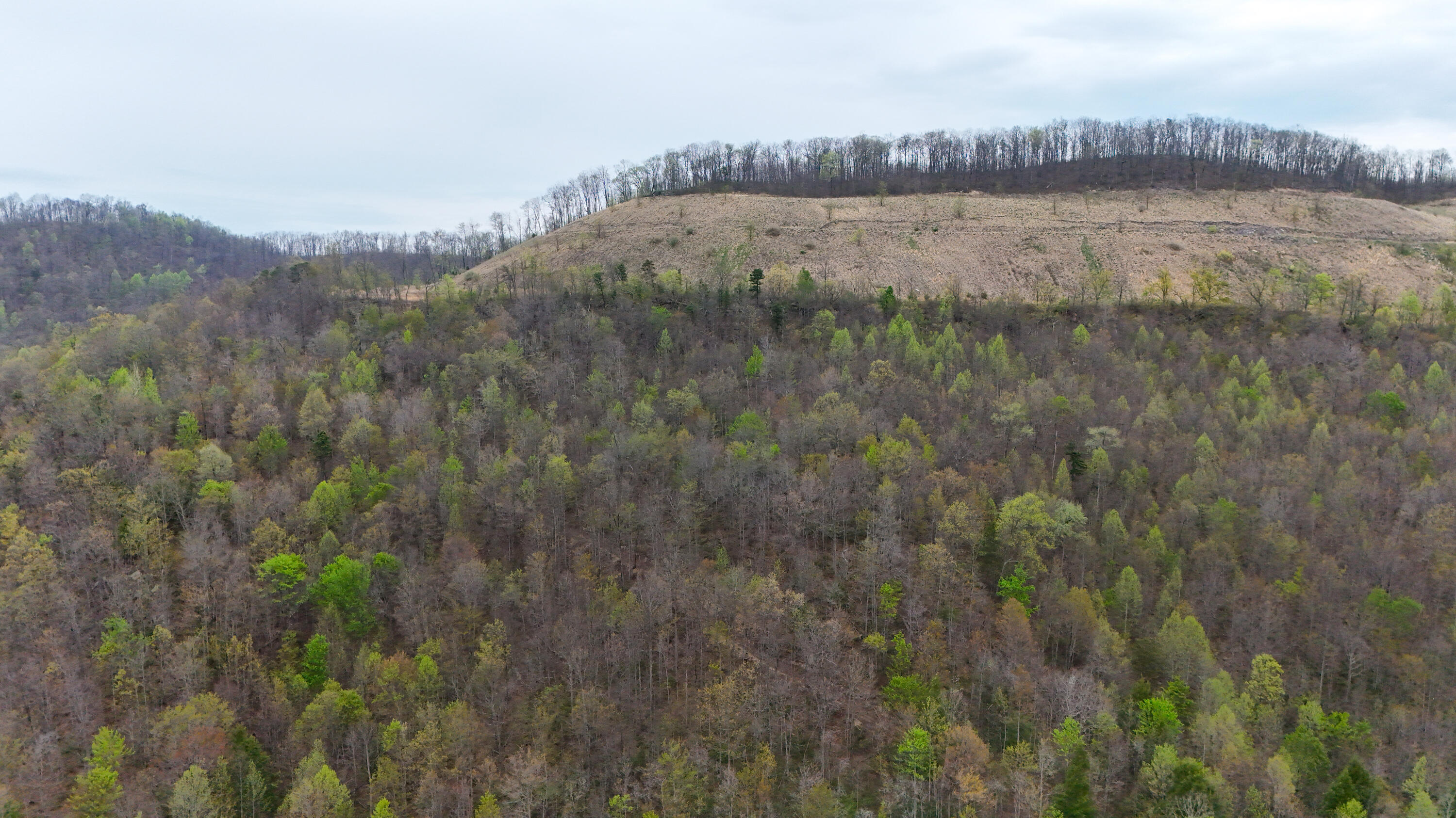 0 Dryfork Road Helton, KY 40840 - Photo 11 of 27 IMG_5494