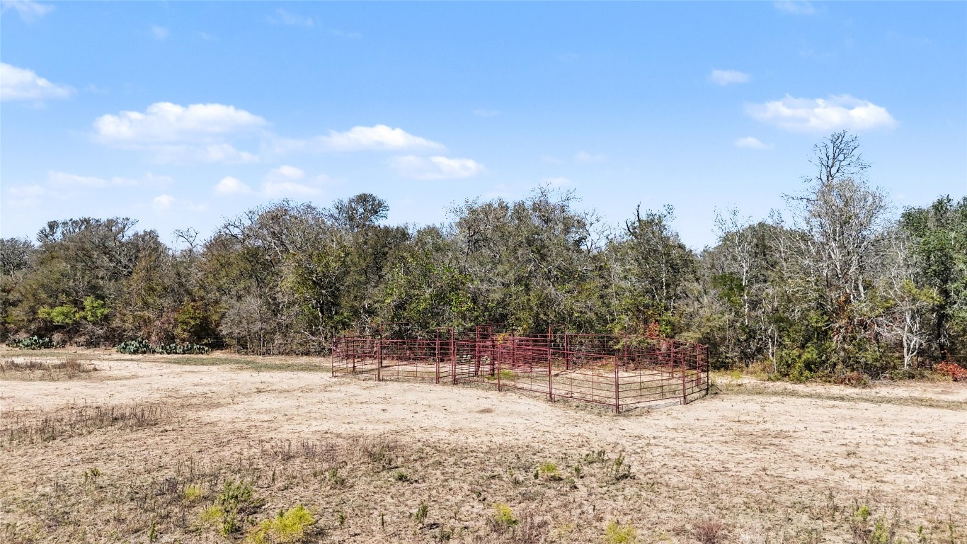 a view of road and trees