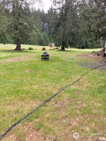a view of yard with trees