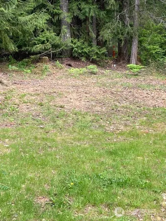 a view of outdoor space and yard