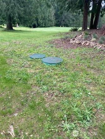 a big yard with lots of green space