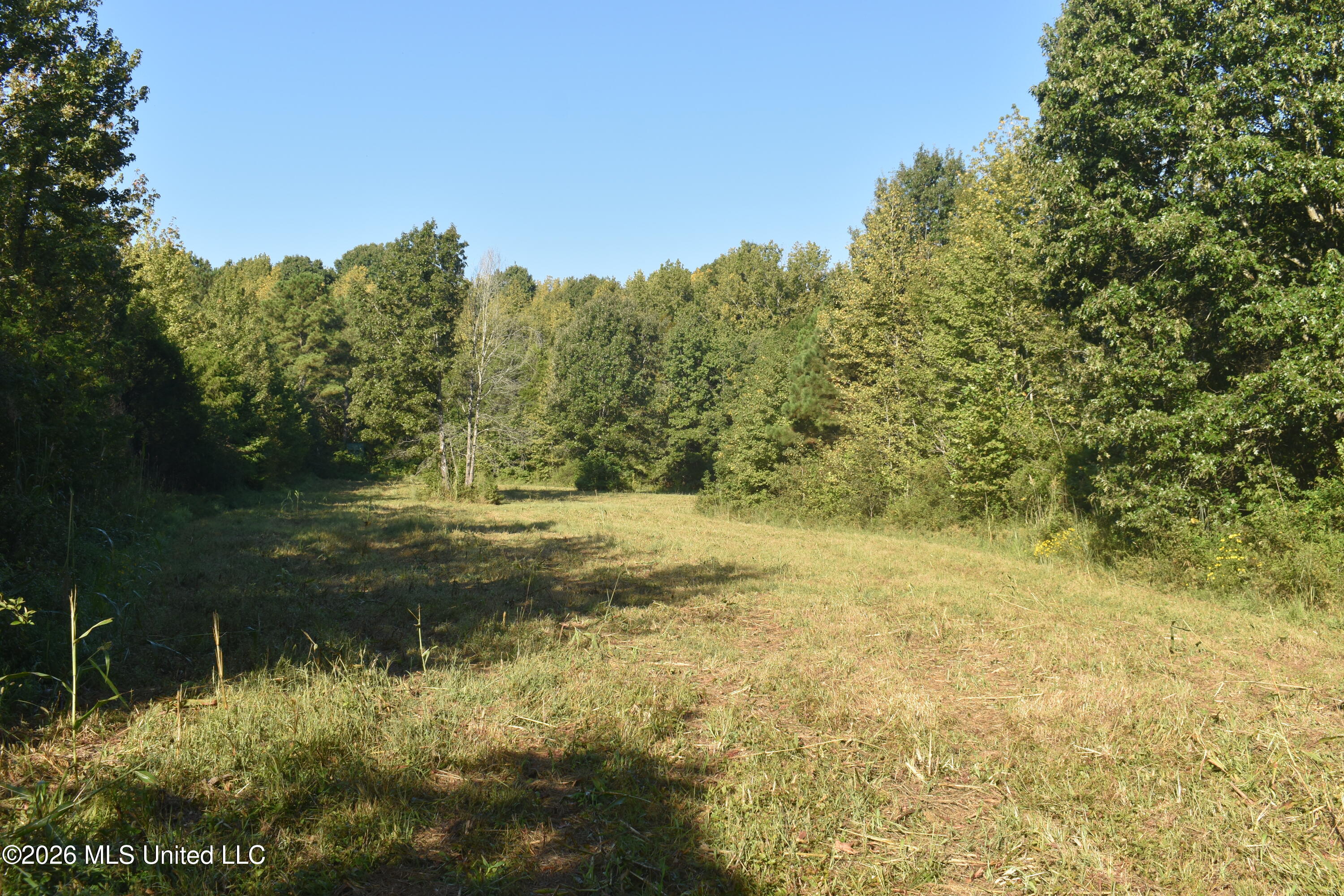 390 Old Panola Road Como, MS 38619 - Photo 40 of 71 DSC_0144
