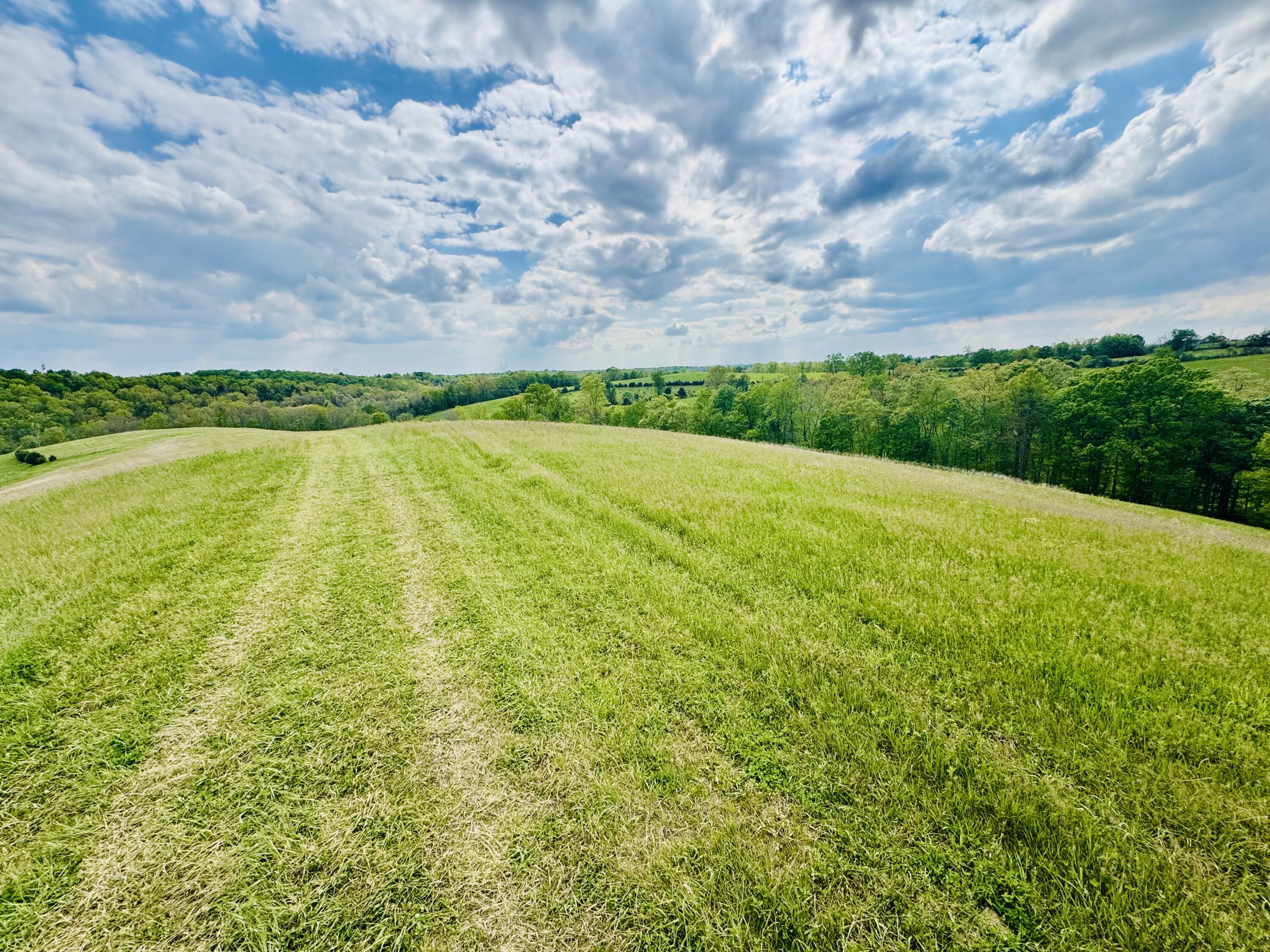 45-acres Chipman Ridge Road, Unit 43 ACRES / Williamstown, KY 41097 - Photo 6 of 19 IMG_6027