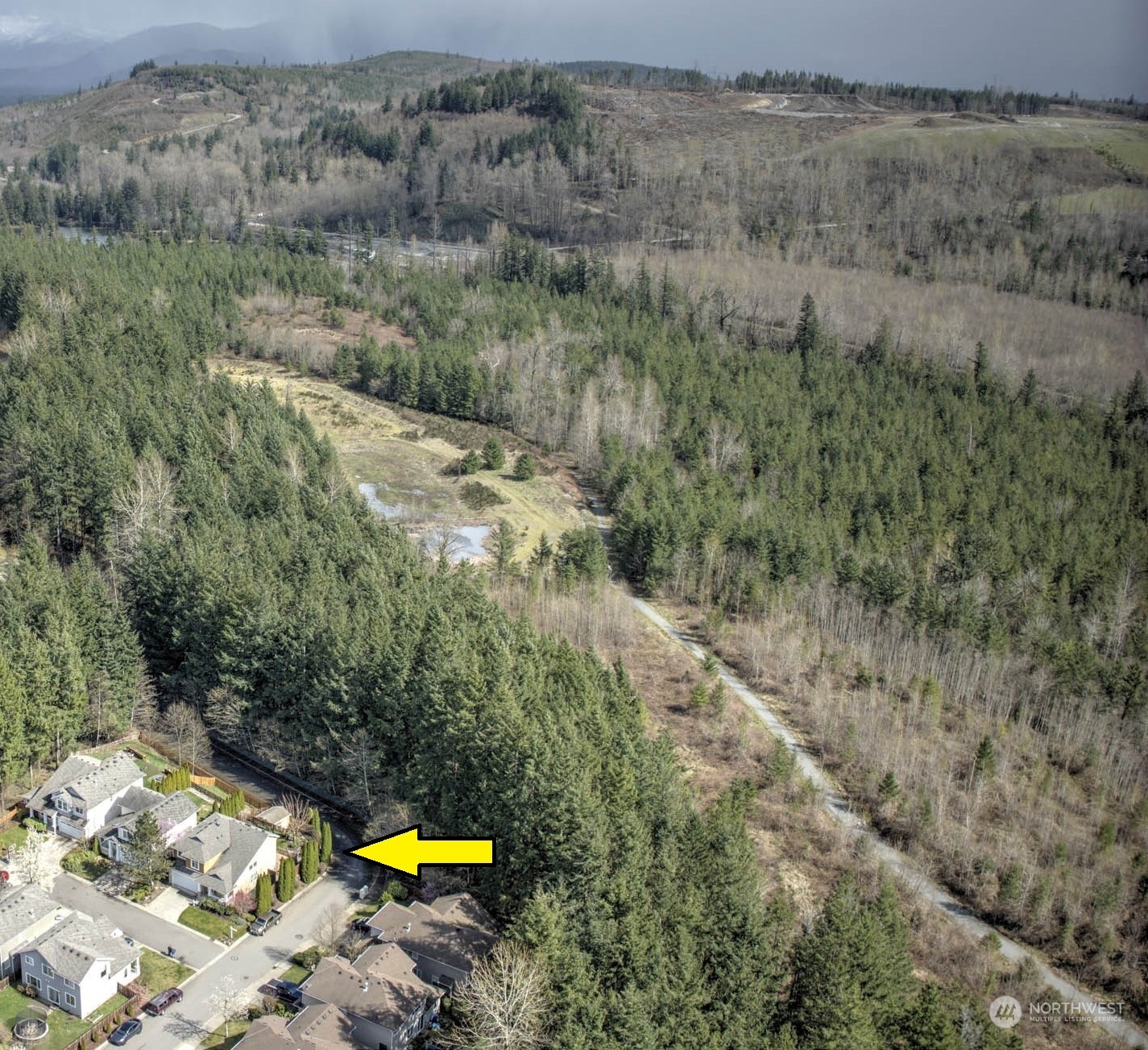 28120 Maple Ridge Way Southeast Maple Valley, WA 98038 - Photo 3 of 36 a aerial view of a house with a yard and large tree