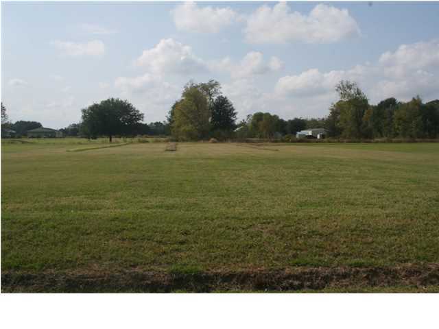 0 Canino Road Rayne, LA 70578 - Photo 1 of 1 Primary Photo