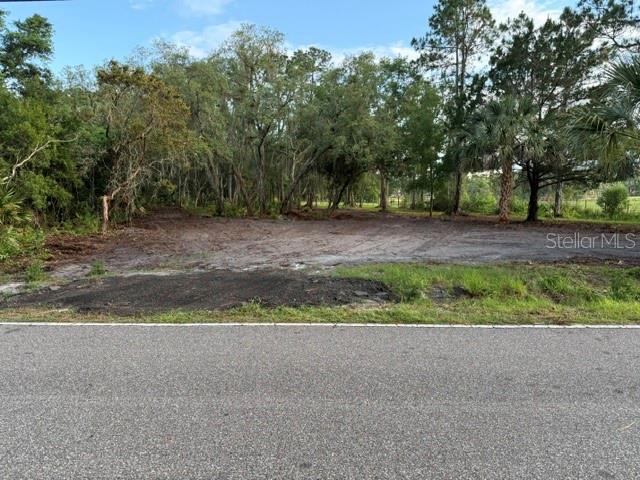 Spring Garden Ranch Road De Leon Springs, FL 32130 - Photo 1 of 6