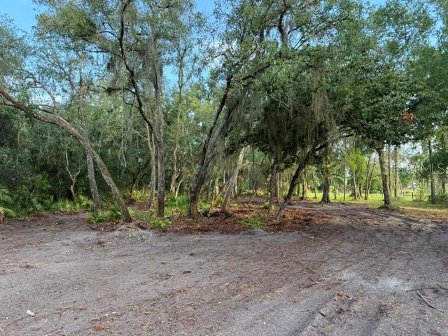 Spring Garden Ranch Road De Leon Springs, FL 32130 - Photo 2 of 6