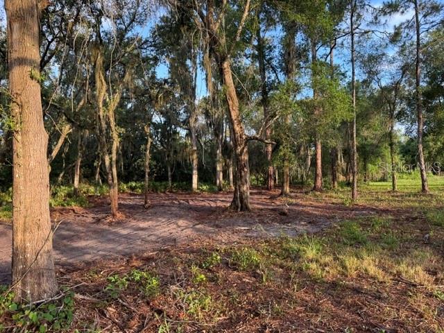 Spring Garden Ranch Road De Leon Springs, FL 32130 - Photo 3 of 6