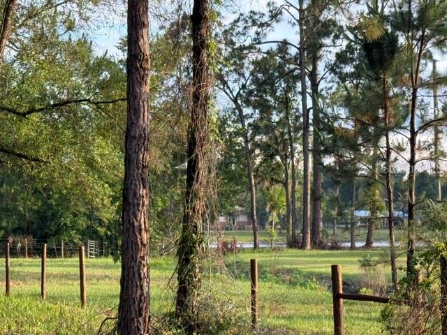 Spring Garden Ranch Road De Leon Springs, FL 32130 - Photo 4 of 6