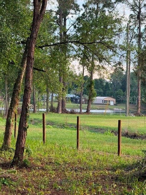 Spring Garden Ranch Road De Leon Springs, FL 32130 - Photo 5 of 6