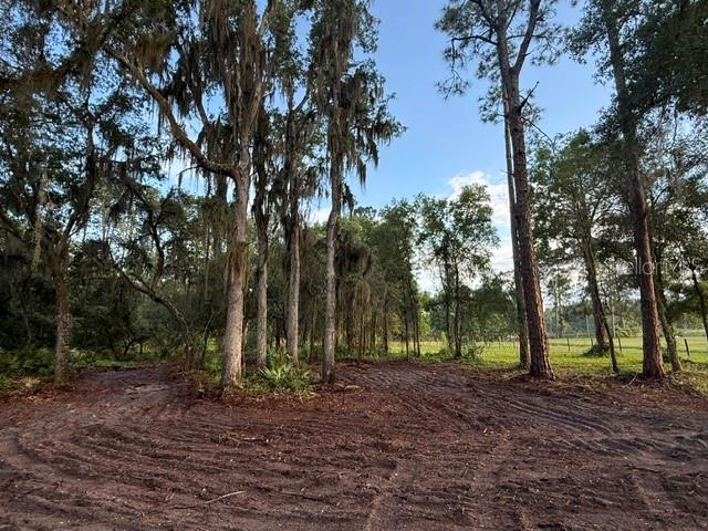 Spring Garden Ranch Road De Leon Springs, FL 32130 - Photo 6 of 6