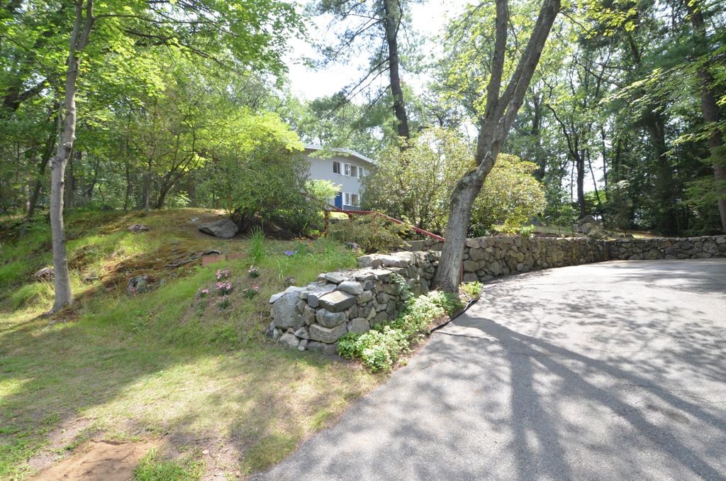39 Peacock Farm Road Lexington, MA 02421 - Photo 2 of 30 a view of a tree in the middle of a yard