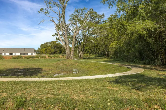 a view of a field with an trees