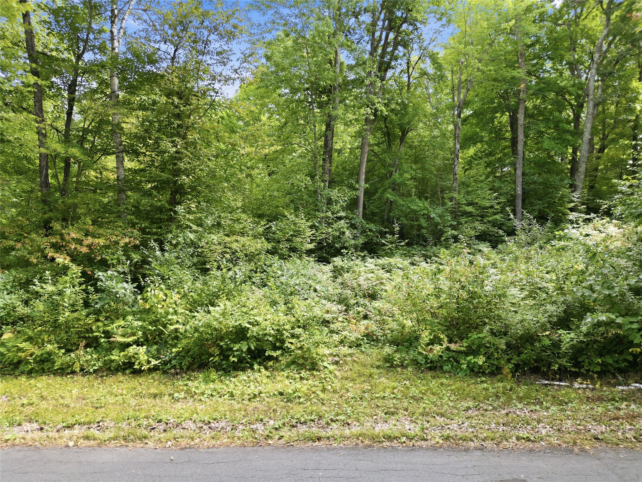 0 North Old 27 Road Hayward, WI 54843 - Photo 1 of 12 Gallery Image 1