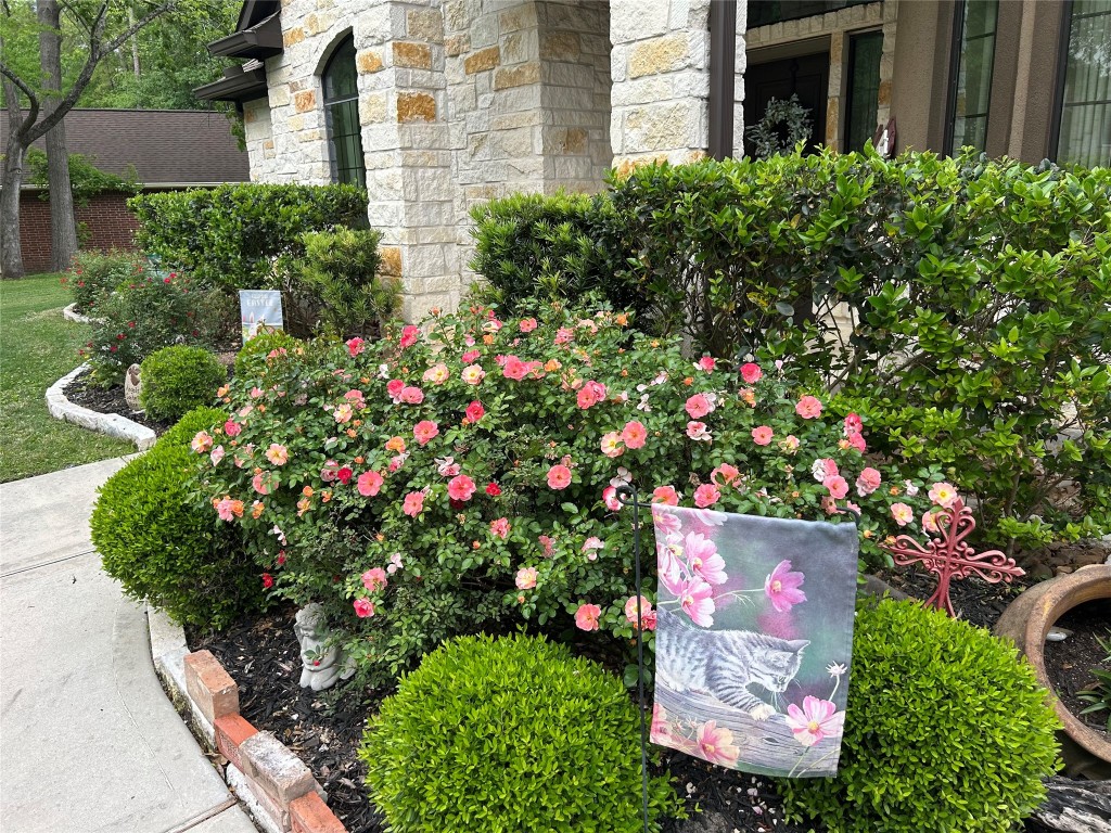 200 Harbor Run Drive Coldspring, TX 77331 - Photo 49 of 50 a picture of flowers