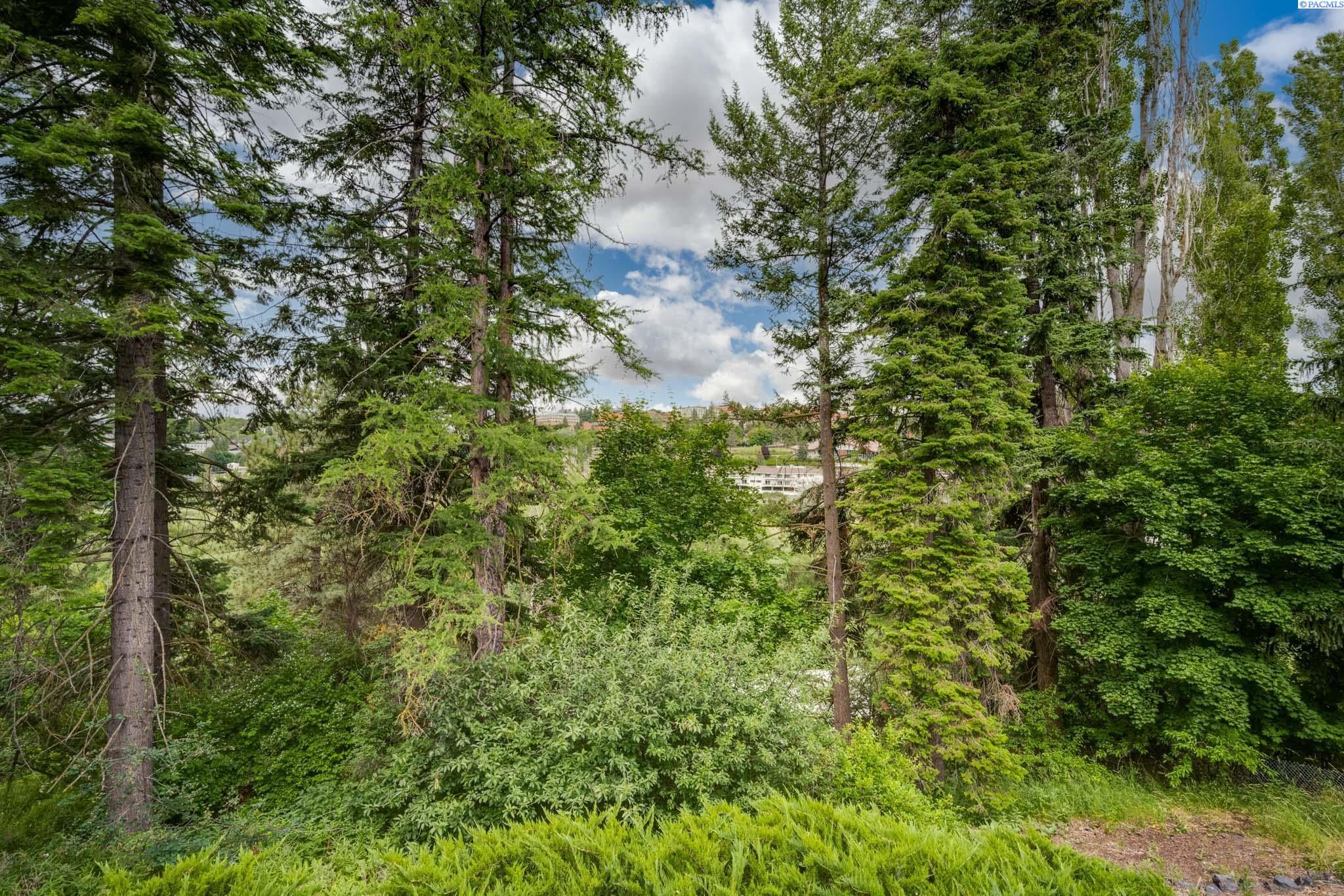 732 Southeast Ridgeview Street Pullman, WA 99163 - Photo 2 of 27 Gallery Image 2