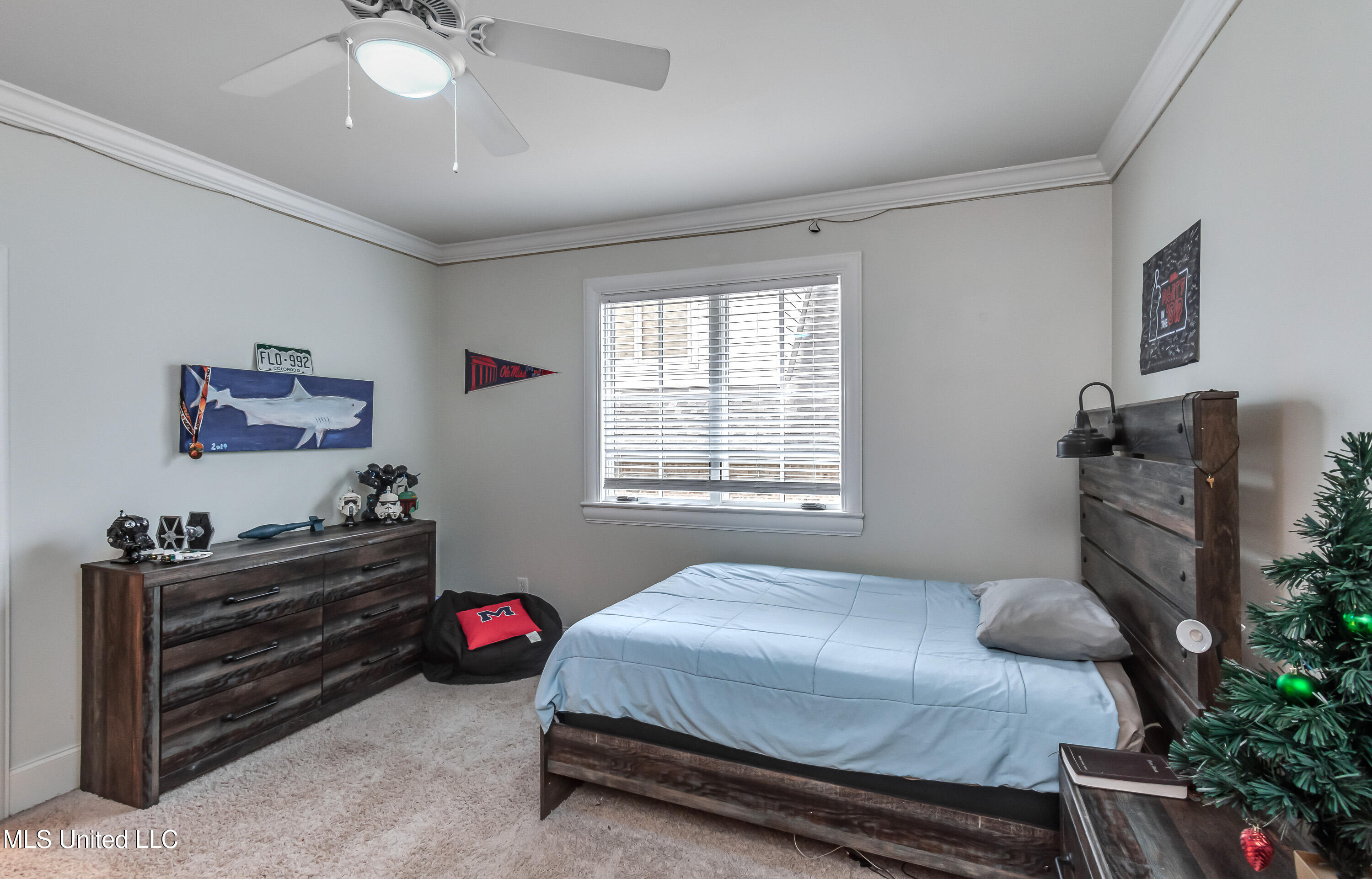 110 Bristol Lane Madison, MS 39110 - Photo 39 of 50 110 Bristol Lane-25