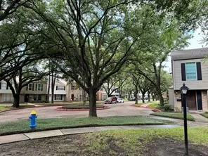 a view of road with tree s